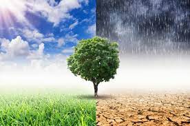 Climate Change: Mitigation and Adaptation (Module II)